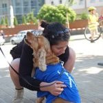 dog-426100__180