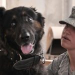 soldier-913184__180
